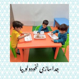 مهدکودک فرشته ها در شیراز