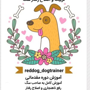 پانسیون شبانه روزی آموزش و تربیت سگ رد داگ reddog در لنگرود