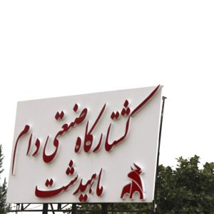 کشتارگاه صنعتی دام ماهیدشت کرمانشاه