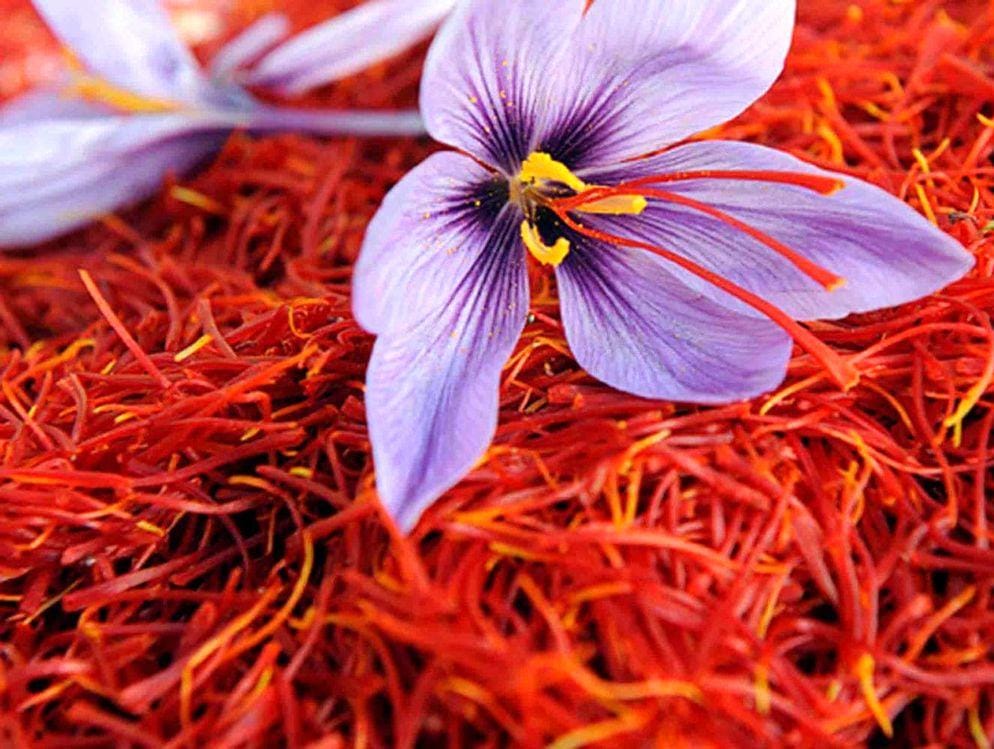 فروش آنلاین زعفران حاجی زعفرون در تهران