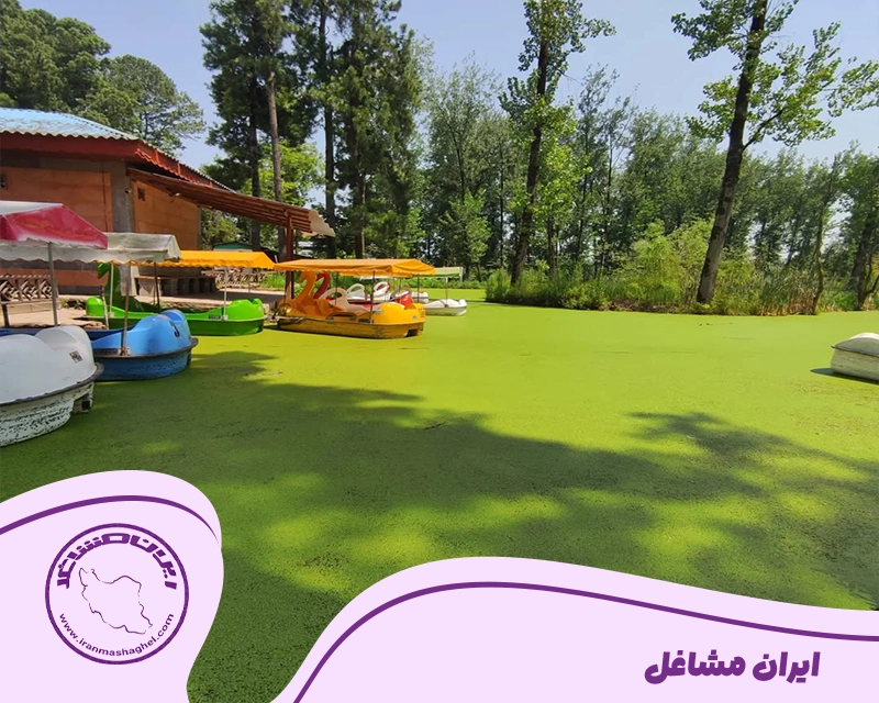 احساس مسئولیت نسبت به طبیعت