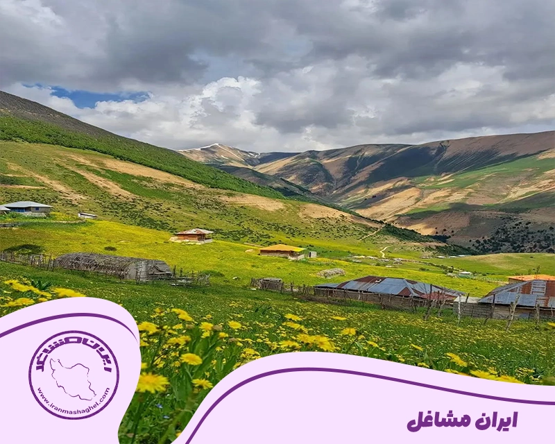 شهرستان اسالم