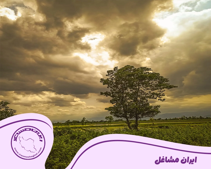 شهرستان کلاچای