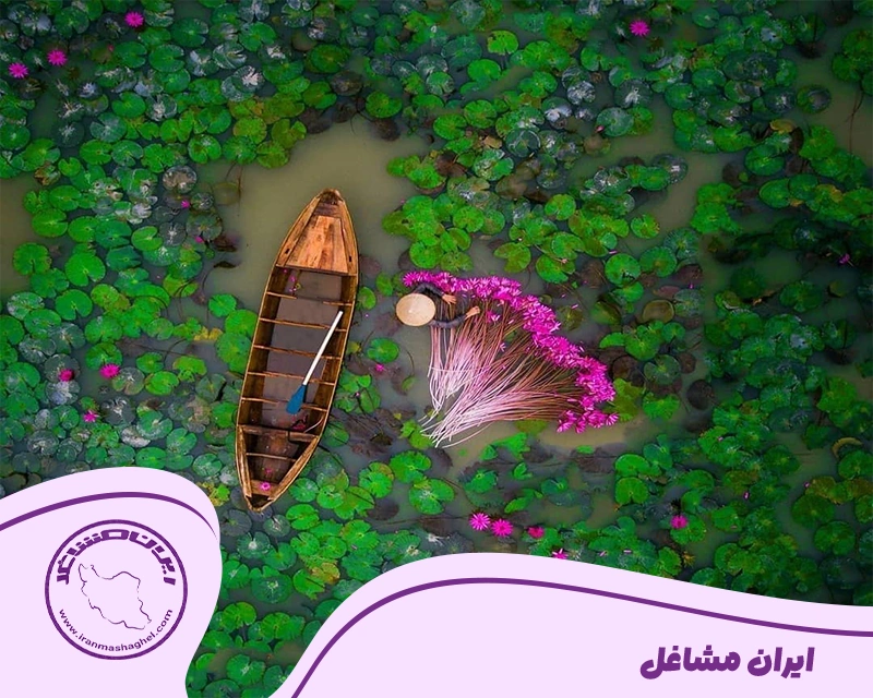 شهرستان انزلی