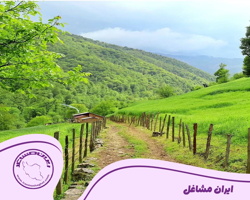 شهرستان تالش