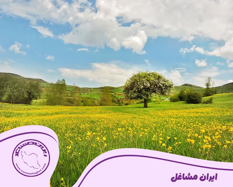 شهرستان رودبار