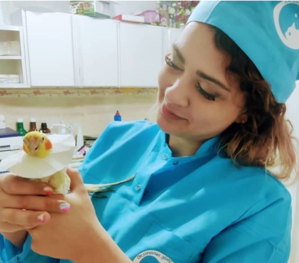 کلینیک دامپزشکی دکتر سروناز گیاهی در گلسار رشت