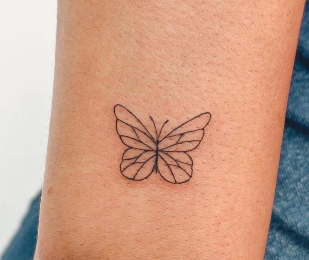 آموزش و خدمات تخصصی فیبروز میترا نبی در لواسانی غربی تهران