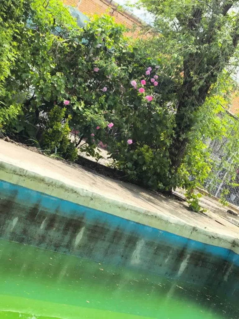 کمپ ترک و درمان اعتیاد نبض رویش در بلوار توس مشهد