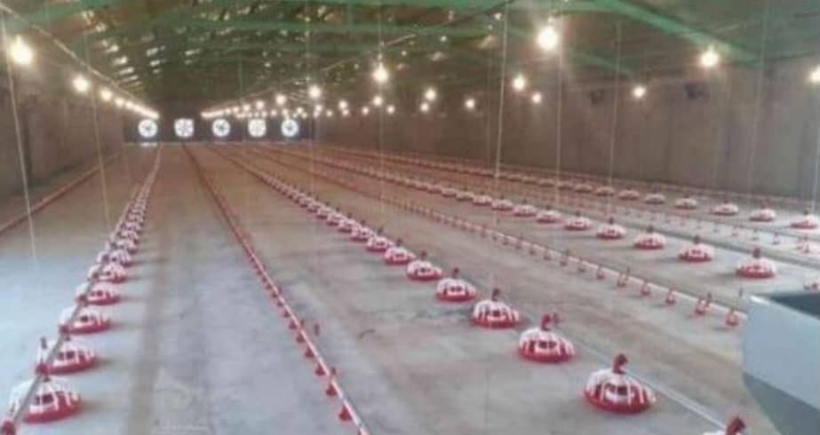 تولید و فروش تجهیزات مرغداری مازند گستر در آمل