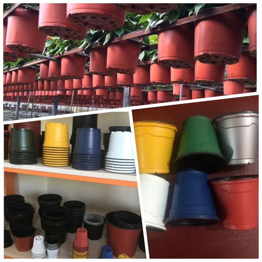 پخش گلدان زینتی و گلخانه ای آگین پلاس در تهران