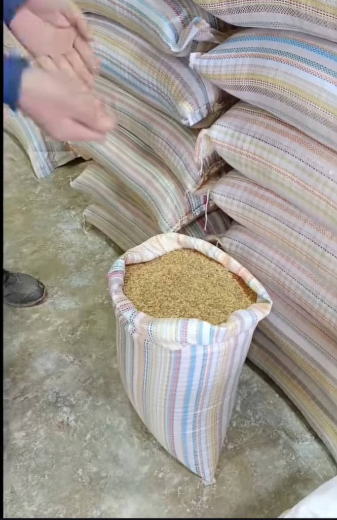 خوراک دام و طیور تخم طلا کوچصفهان