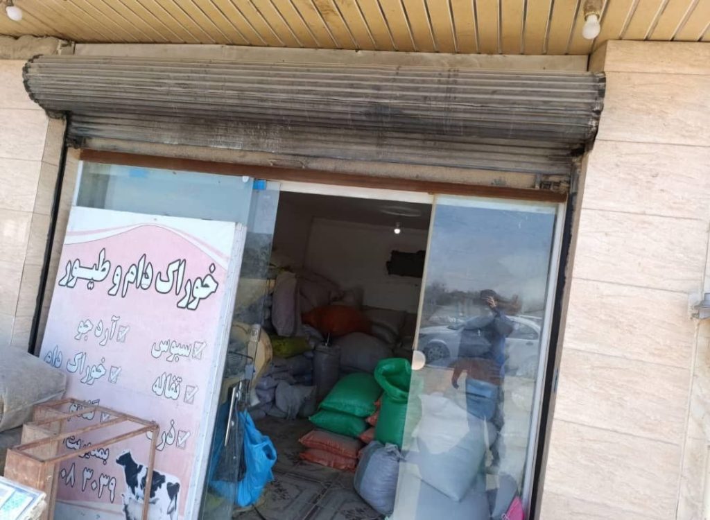 خوراک دام و طیور تخم طلا کوچصفهان