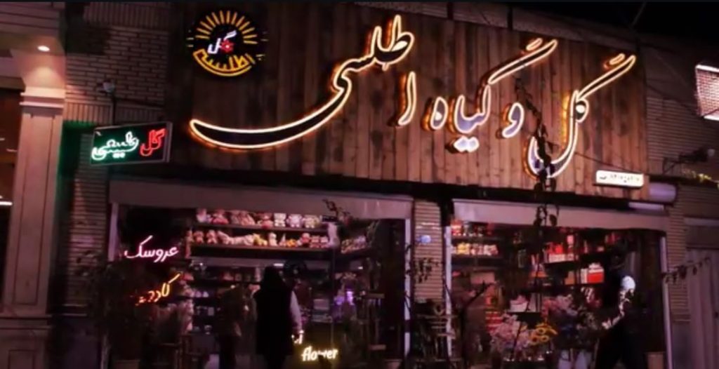 گلفروشی اطلسی در زاهدان