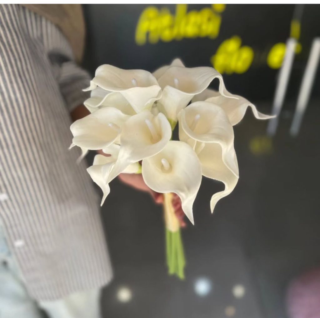 گلفروشی اطلسی در زاهدان