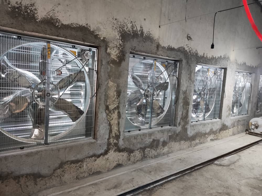 تولیدکننده و فروش عمده تجهیزات مرغداری حسنخانی قزوین