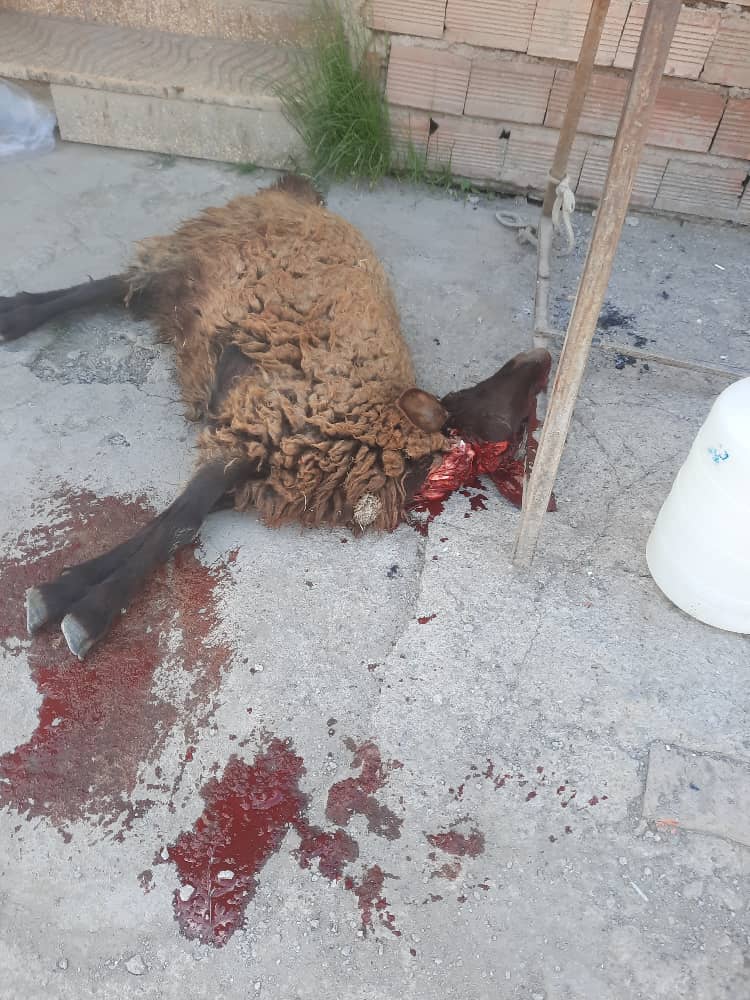 مجتمع گردشگری اقامتی دربند کوچولوی حمید سردابه اردبیل