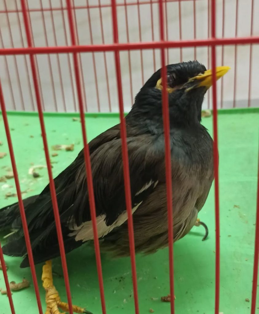 درمانگاه دامپزشکی دکتر هادی در اصفهان