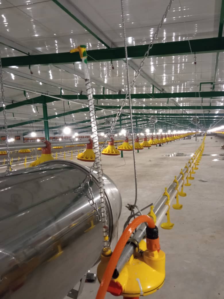 Rojin Sanat Quşçuluq Avadanlıqlarının Bakıda Satışı və Göndərilməsi