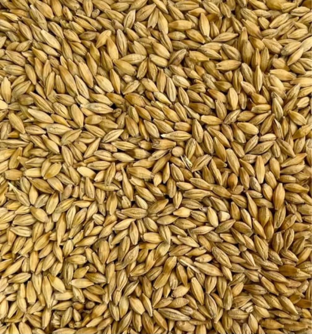 فروش خوراک دام بیگی در کرمانشاه