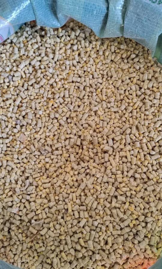 فروش خوراک دام بیگی در کرمانشاه