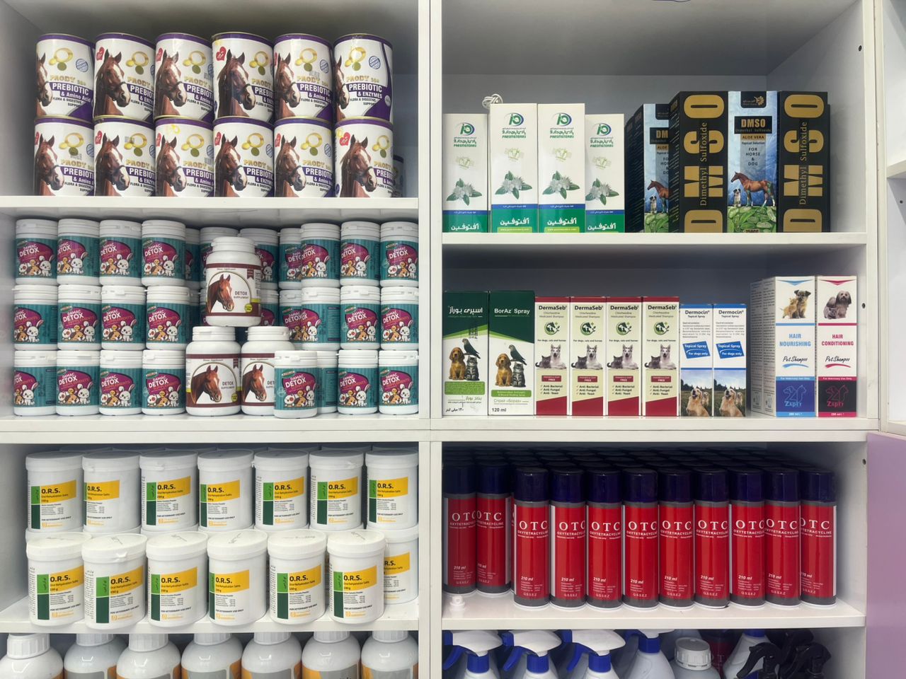 کلینیک دامپزشکی و جراحی حیوانات خانگی ایران زمین دکتر سعادت مشکلانی در اصفهان