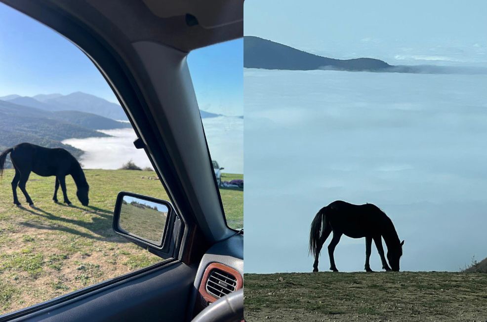 سهیل تور مجری طبیعت گردی و آفرود رامسر