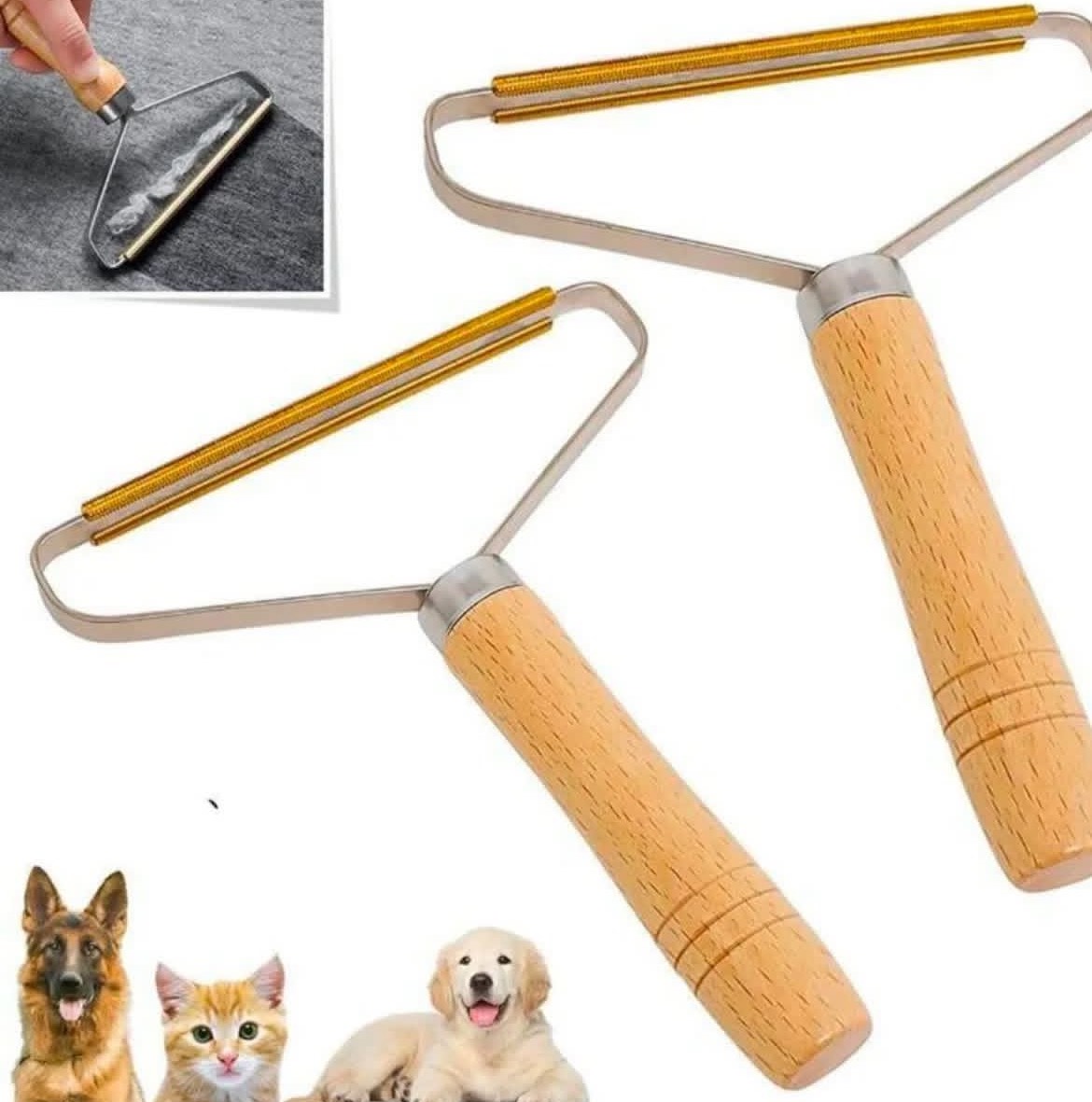 پت شاپ کاکادو در کرمانشاه