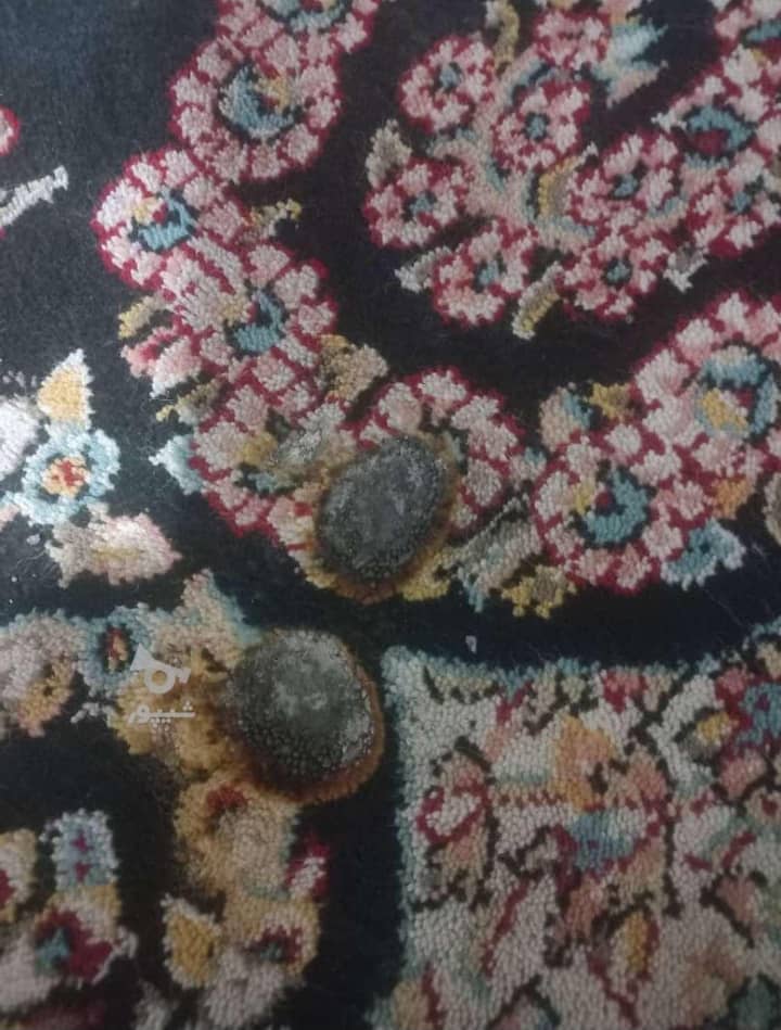 خدمات و تعمیرات فرش شهبازی در سمنان