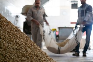 فروشگاه شهر آجیل بافق در یزد