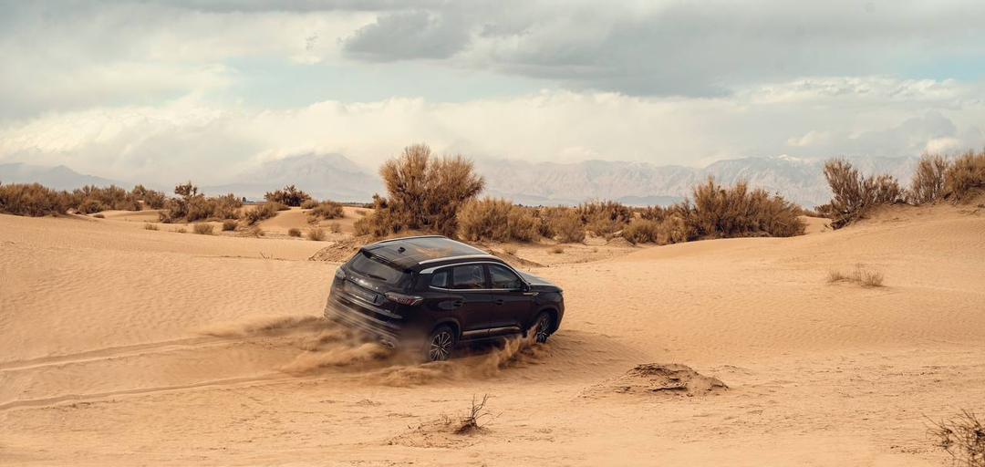 نمایندگی فونیکس غلامزاده کد 306 در ارومیه