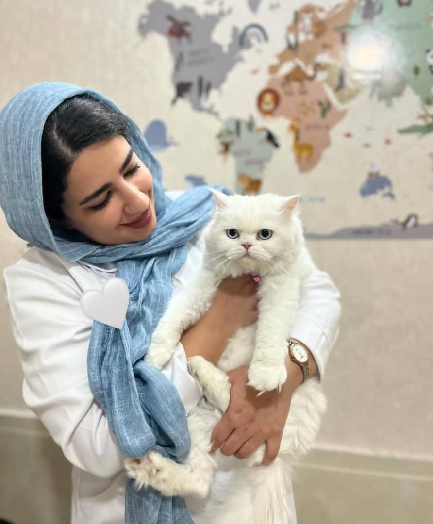 کلینیک دامپزشکی پتیکا در کاشان