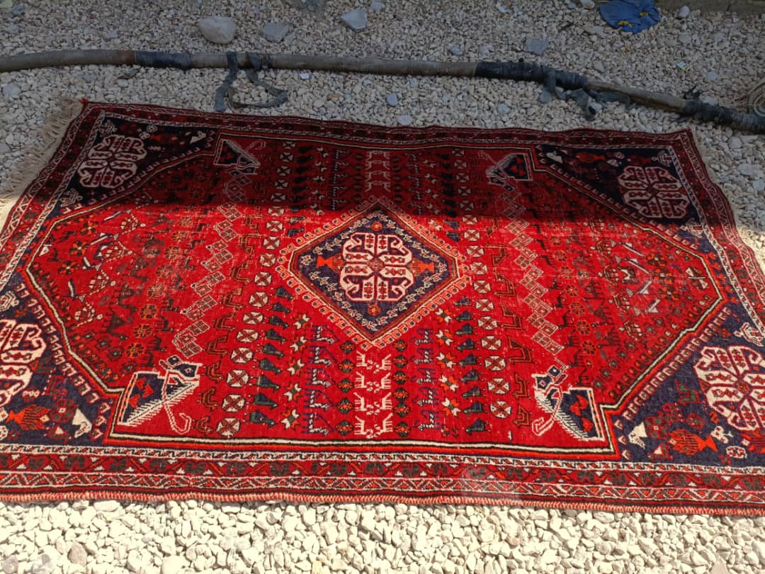 قالیشویی میلاد در شیراز
