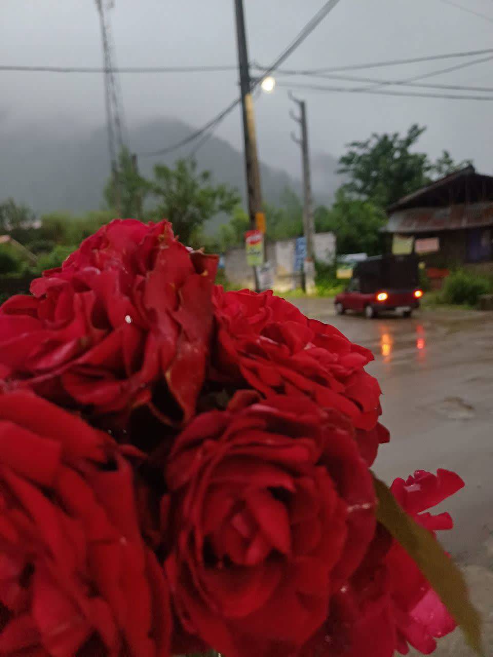 فروشگاه فرشید در لفور شیرگاه