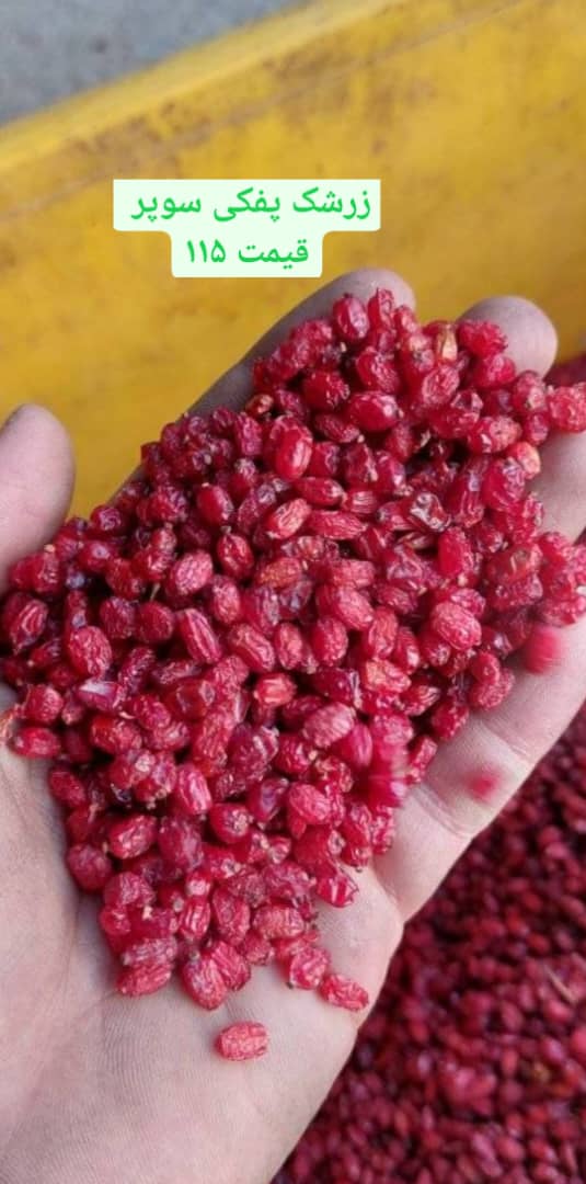 مرکز خرید و فروش عمده زرشک و خشکبار زرکار در بیرجند