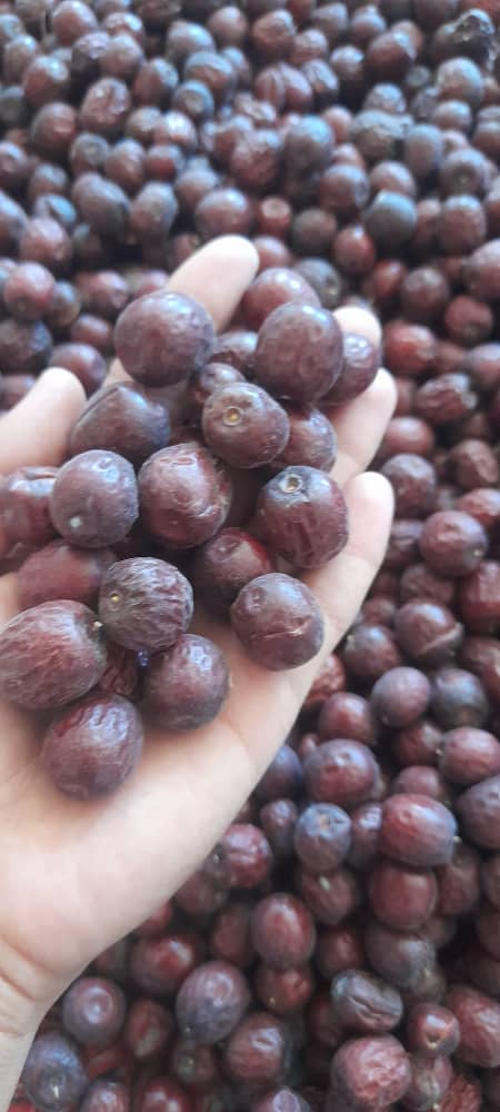 مرکز خرید و فروش عمده زرشک و خشکبار زرکار در بیرجند