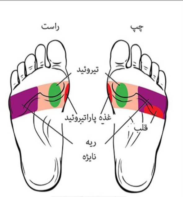 خدمات تخصصی ماساژ درمانی و ریلکسی الهام فتحی در گلشهر کرج