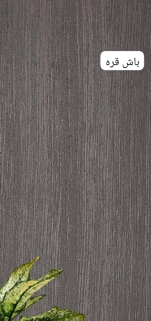 نقاشی تخصصی ساختمان و میکروسمنت باش قره در جزیره کیش