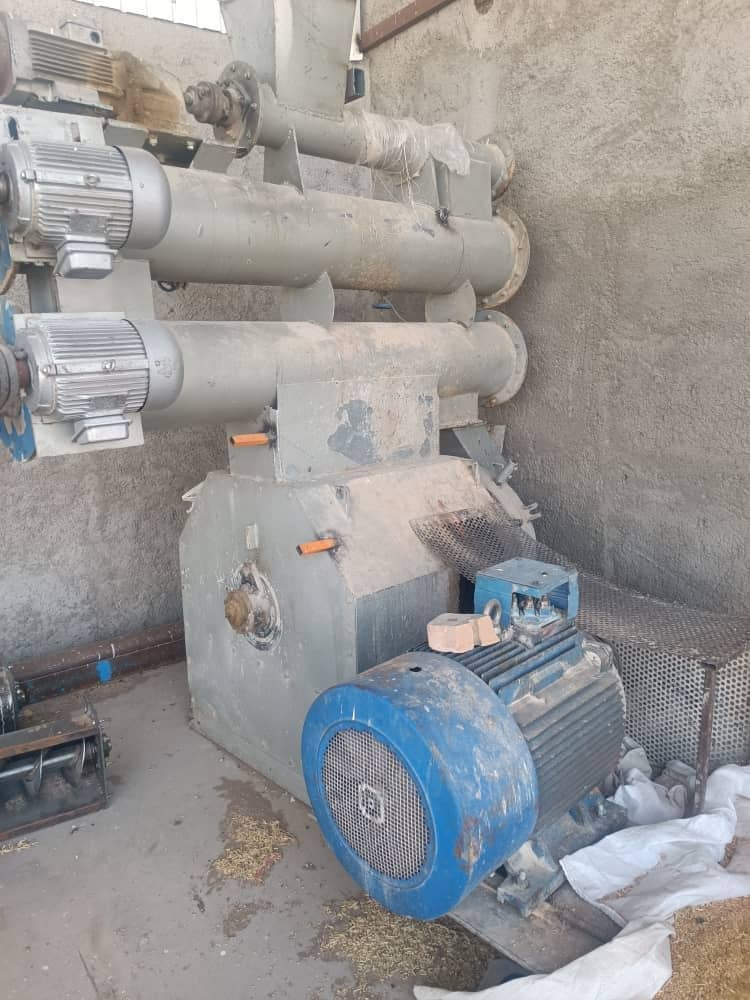 تجهیزات مرغداری حسنخانی تولید و فروش دستگاه پلت زن خوراک دام در رشت