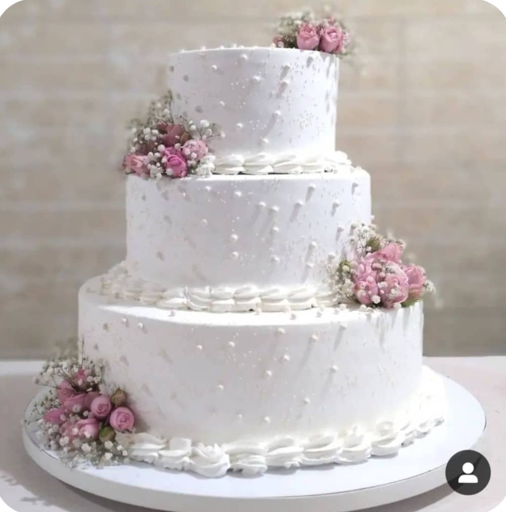 شیرینی فلامینگو در شهرکرد