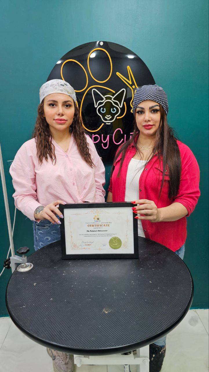 آموزشگاه آرایشگری حیوانات خانگی پاپی کات در رشت