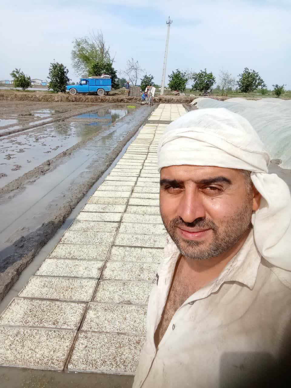 بانک نشا کمالی در آمل