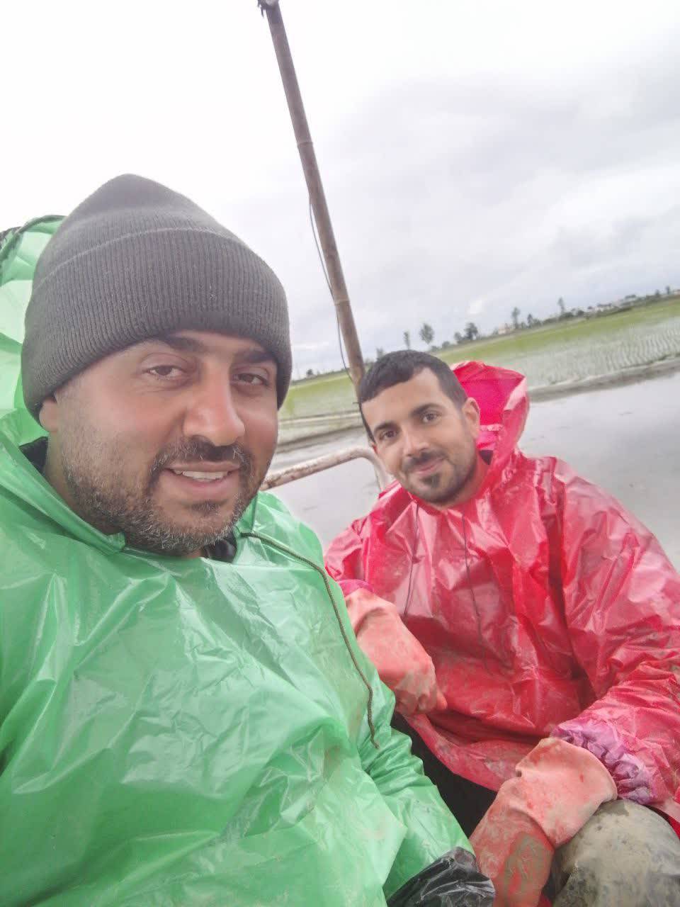 بانک نشا کمالی در آمل