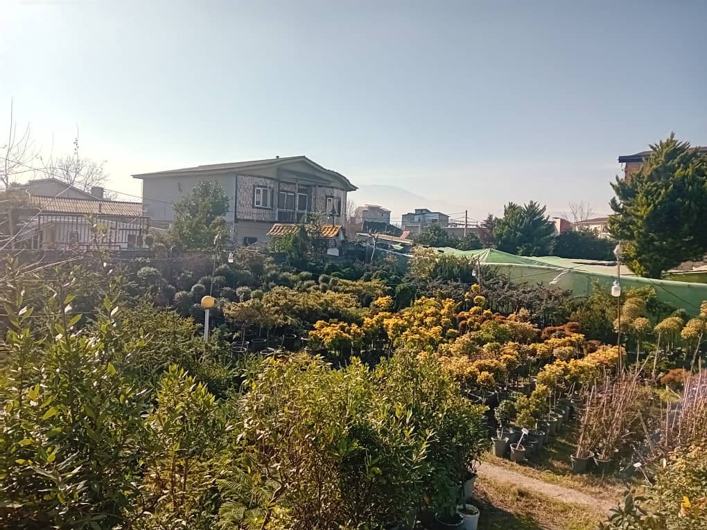 فروش عمده گل و گیاه باغی مجتمع یاس در چمستان