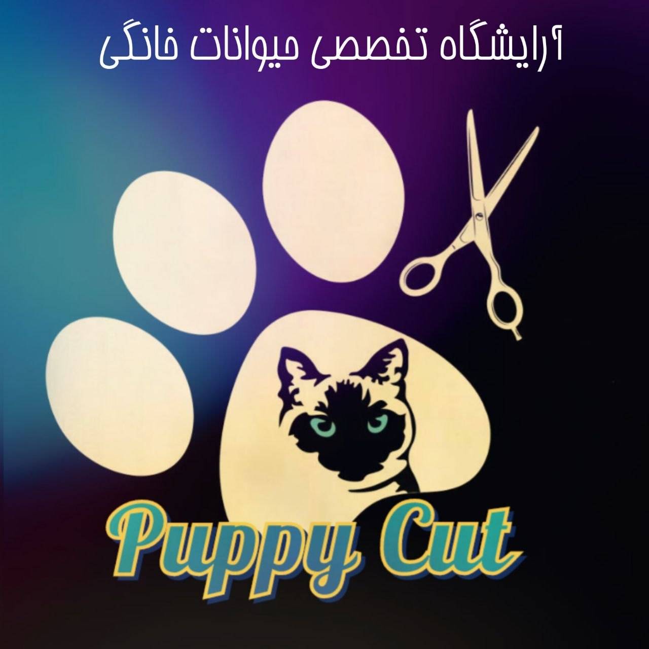 آرایشگر حیوانات خانگی سگ و گربه و خرگوش پاپی کات در رشت