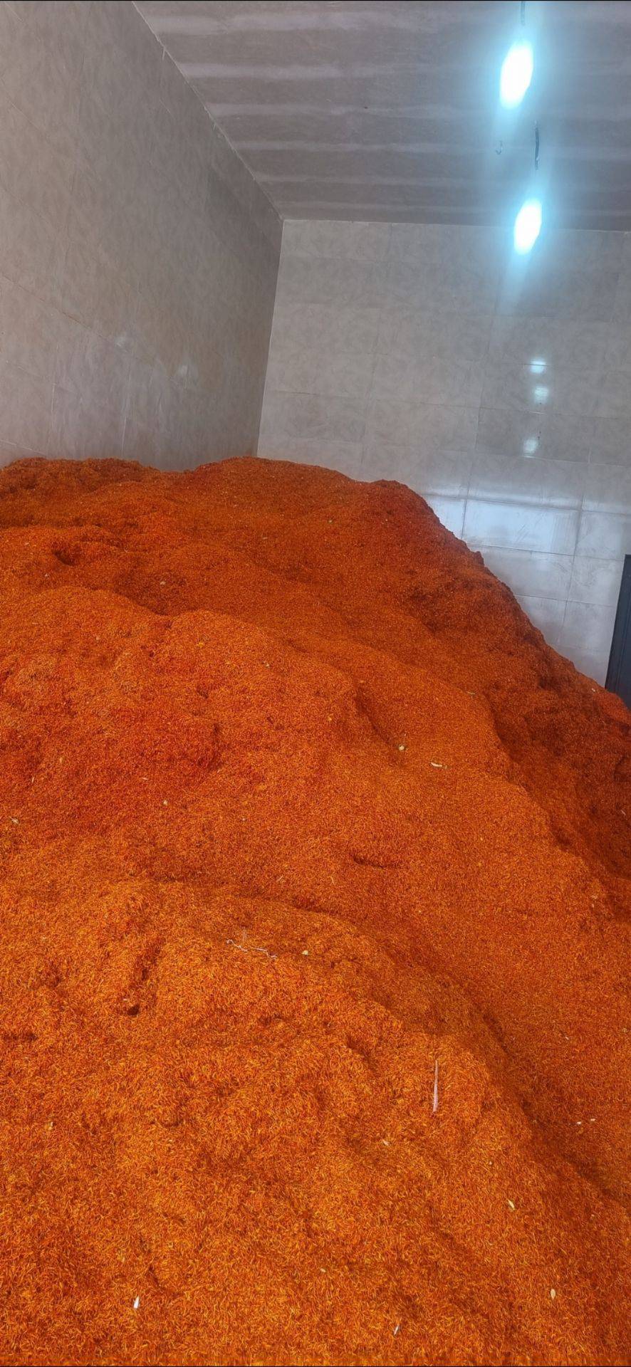 خرید و فروش عمده گلرنگ زعفران حجتی در شیراز