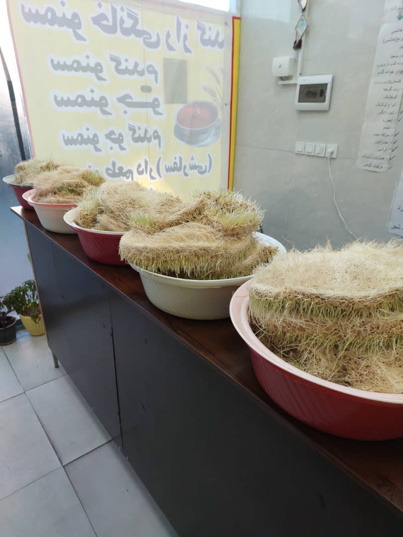 سمنو پزی سنتی راز گندم در ابهر