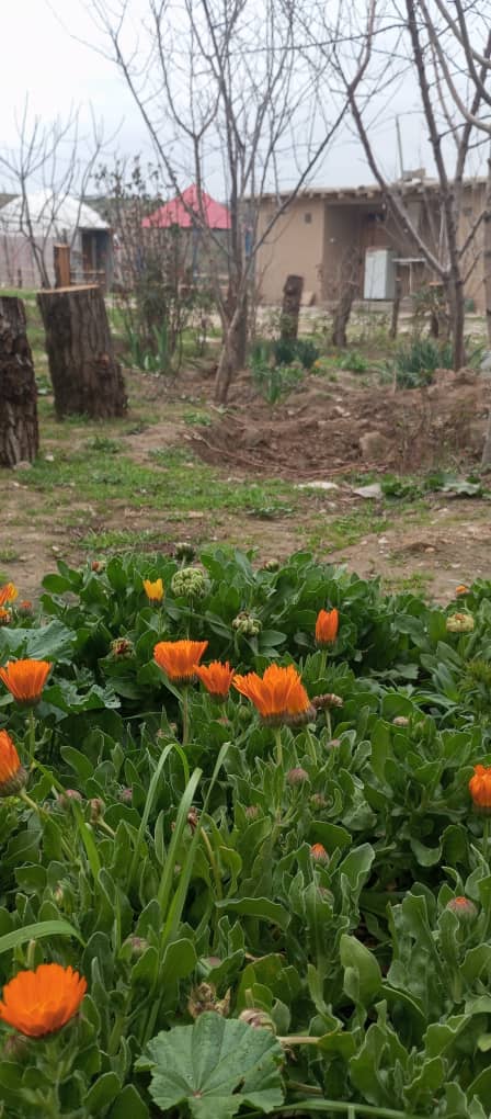 اقامتگاه بومگردی آی جرن روانبخش در کلاله