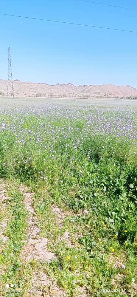اقامتگاه بومگردی محمد مرادی در روستای گوزلک اردل