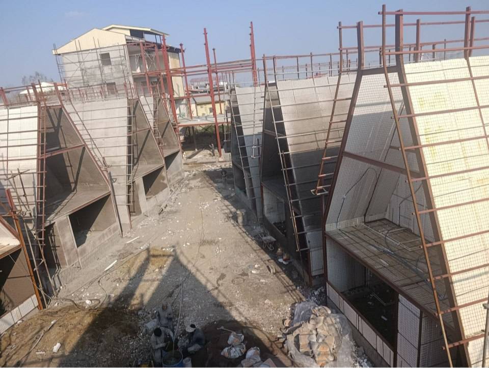 تولید و فروش دیوارهای پیش ساخته 3D پنل تیز مغز در تهران